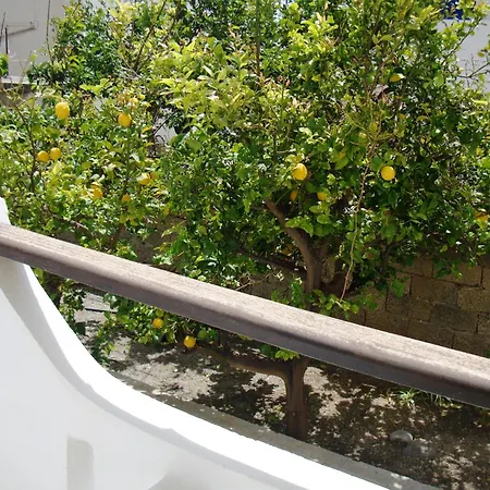 Artemis Studios Agia Roumeli Exterior photo