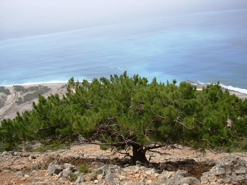 Artemis Apartment Agia Roúmeli