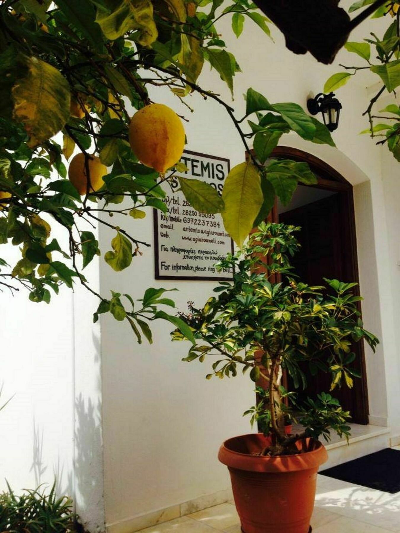 Artemis Apartment *